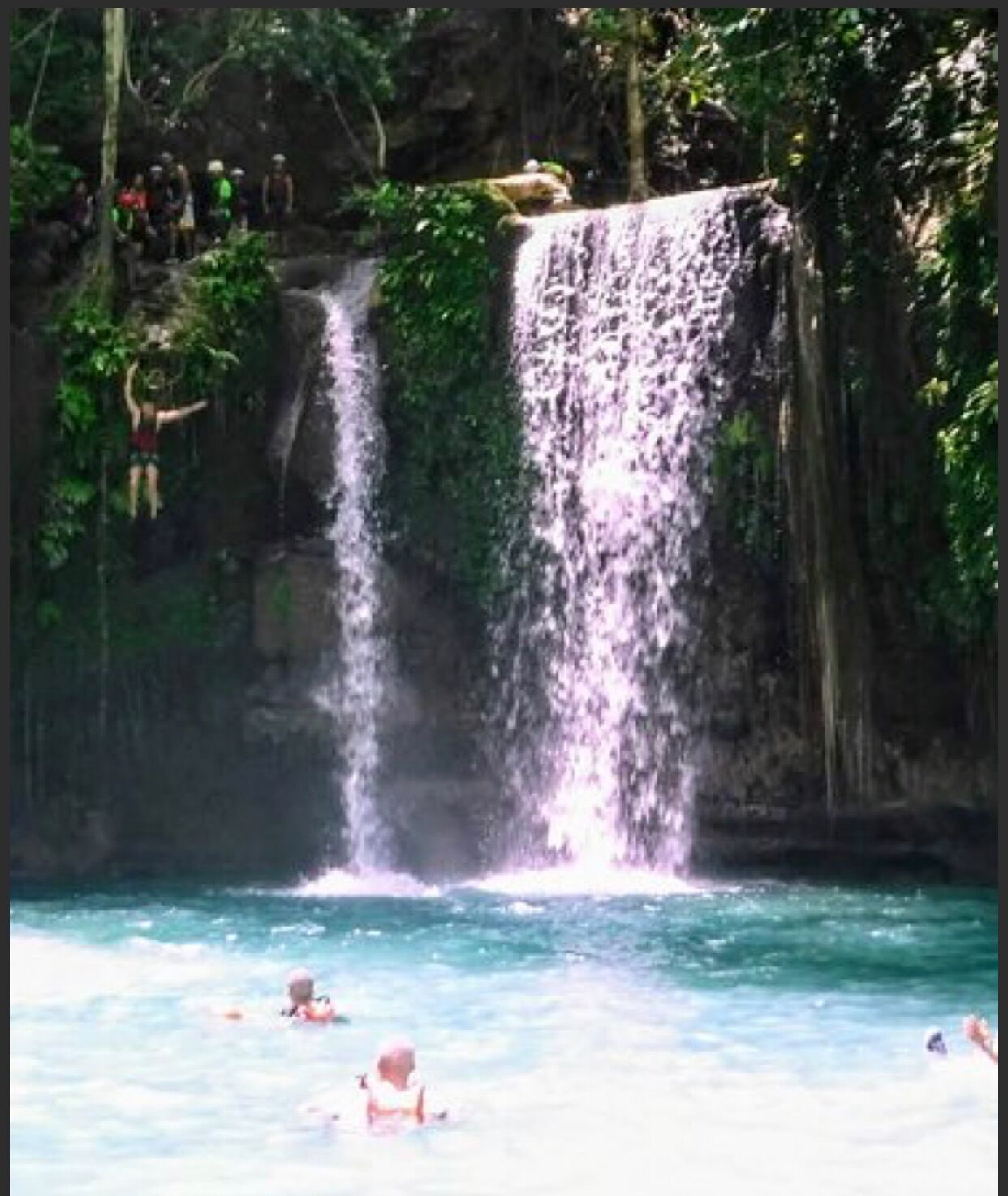 A waterfall cascading into a pool surrounded by lush greenery.