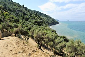 Una spiaggia nelle vicinanze