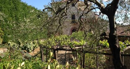 Apartment for 2 with beautiful view near San Gimignano and Volterra.