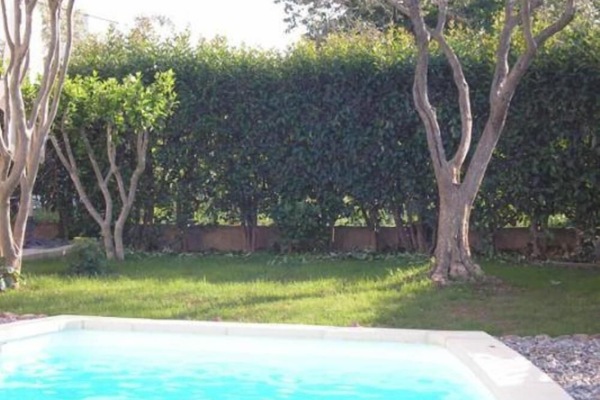 Garden, Park