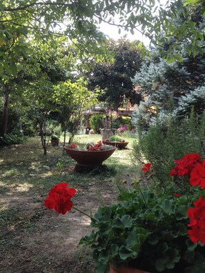 Áreas de la propiedad