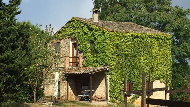 A rustic stone house with ivy-covered walls and a stone chimney. - Apartment in Farmhouse for Families with Pool (Porchiano del Monte - Amelia)