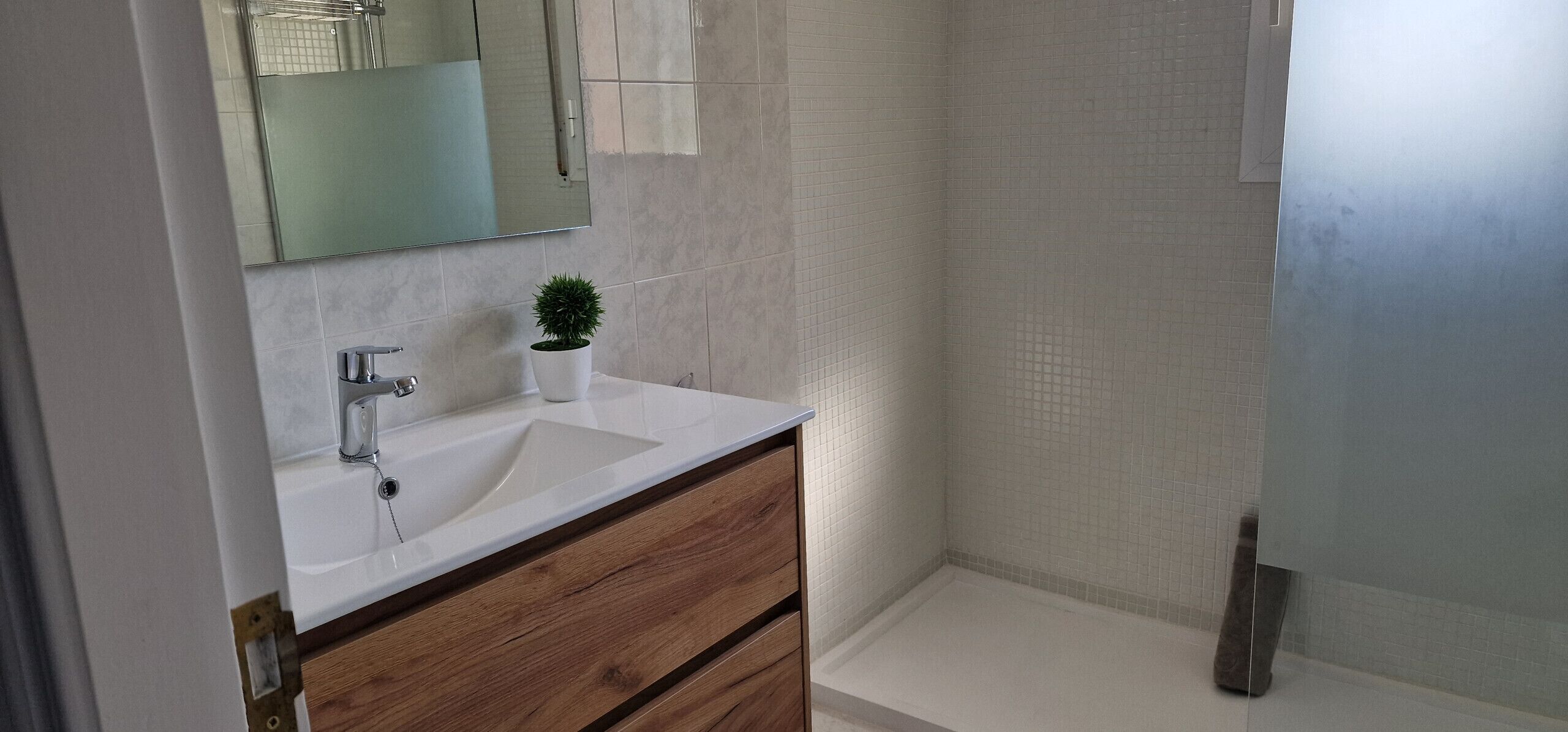A bathroom with a white sink, a small potted plant, and a mirror.