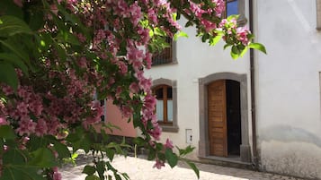 Detalle exterior