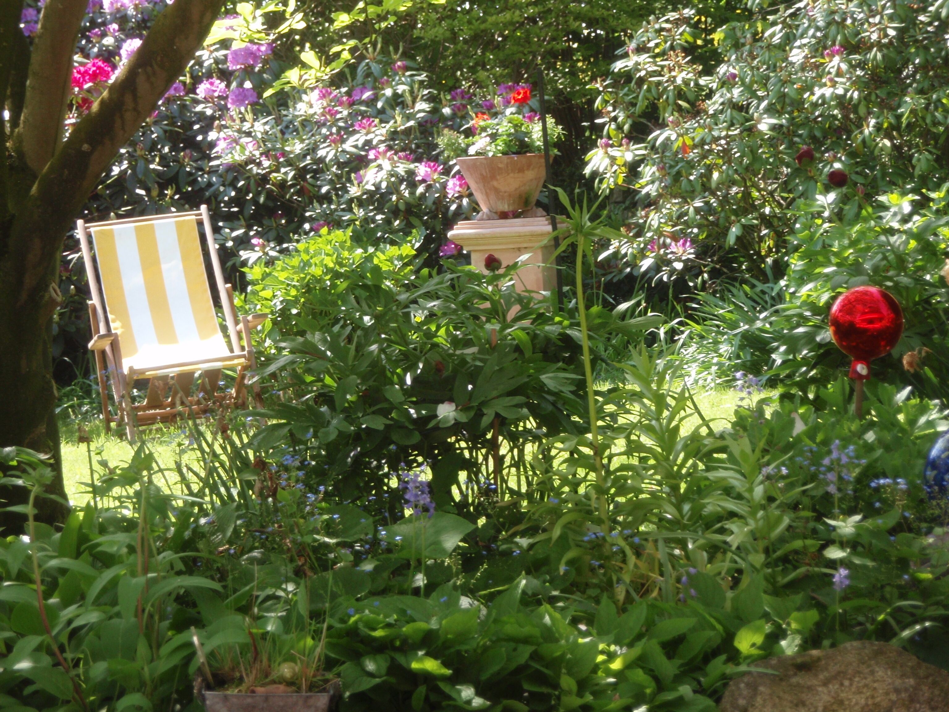 Un jardín con una silla y una maceta decorativa.