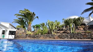 Une piscine à l’eau d’un bleu cristallin, entourée de différentes espèces de cactus et de palmiers, et bordée d’un mur de pierre.