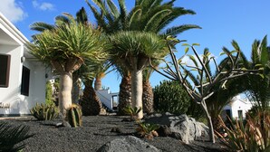Un jardin avec des palmiers et des cactus, un bâtiment blanc avec une porte, et un ciel bleu azur.