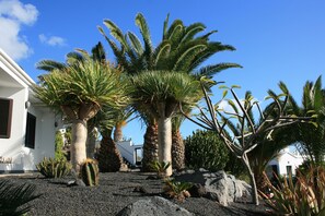 Een tuin met palmbomen en cactussen, een wit gebouw met een deur, en een helderblauwe lucht.