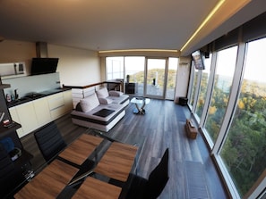 Televisio, DVD-soitin, videokirjasto