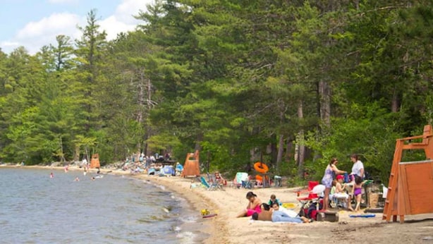 Ein Strand mit Menschen, die entspannen und sonnenbaden, einem Rettungsturm und einem von Bäumen gesäumten, sandigen Ufer.