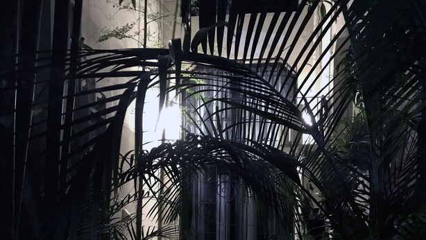 Un jardín interior con un sendero de ladrillo, arcos metálicos y diversas plantas tropicales.