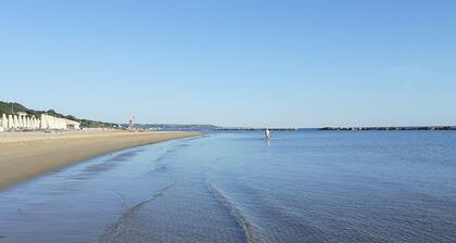 Villa surrounded by greenery a few steps from the sea