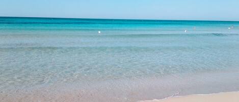 Playa en los alrededores