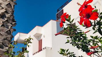 DĂ©tail de lâextĂ©rieur