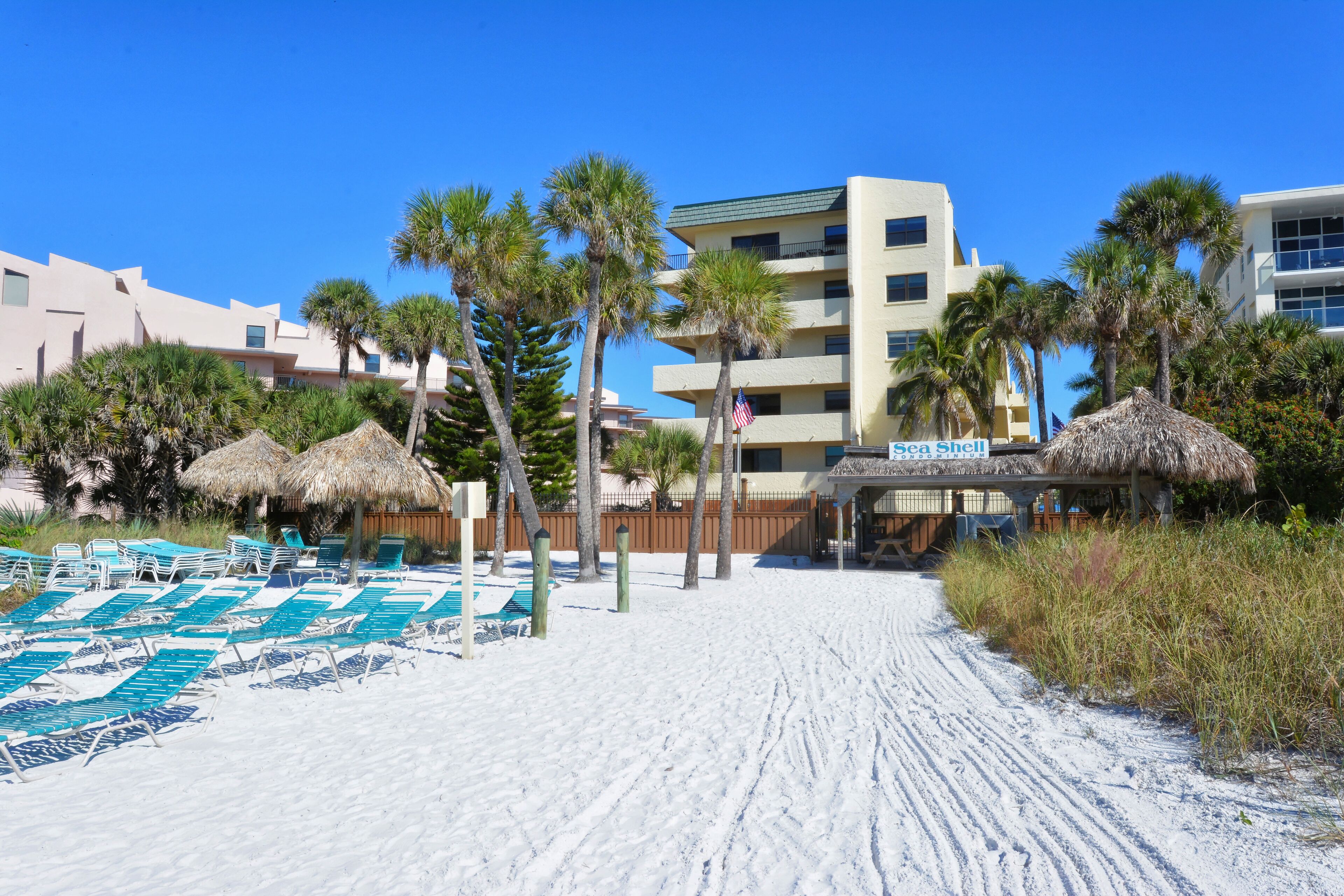 A beach with sun loungers, palm trees, and a building with a sign that reads "Sea Shell".