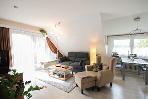 Televisio, DVD-soitin, kirjoja, musiikkikirjasto