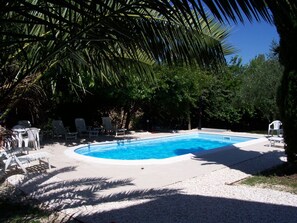 Pool - The Mulberry in Solebello (Morro D' Alba)