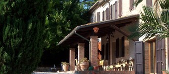 The Mulberry in Solebello