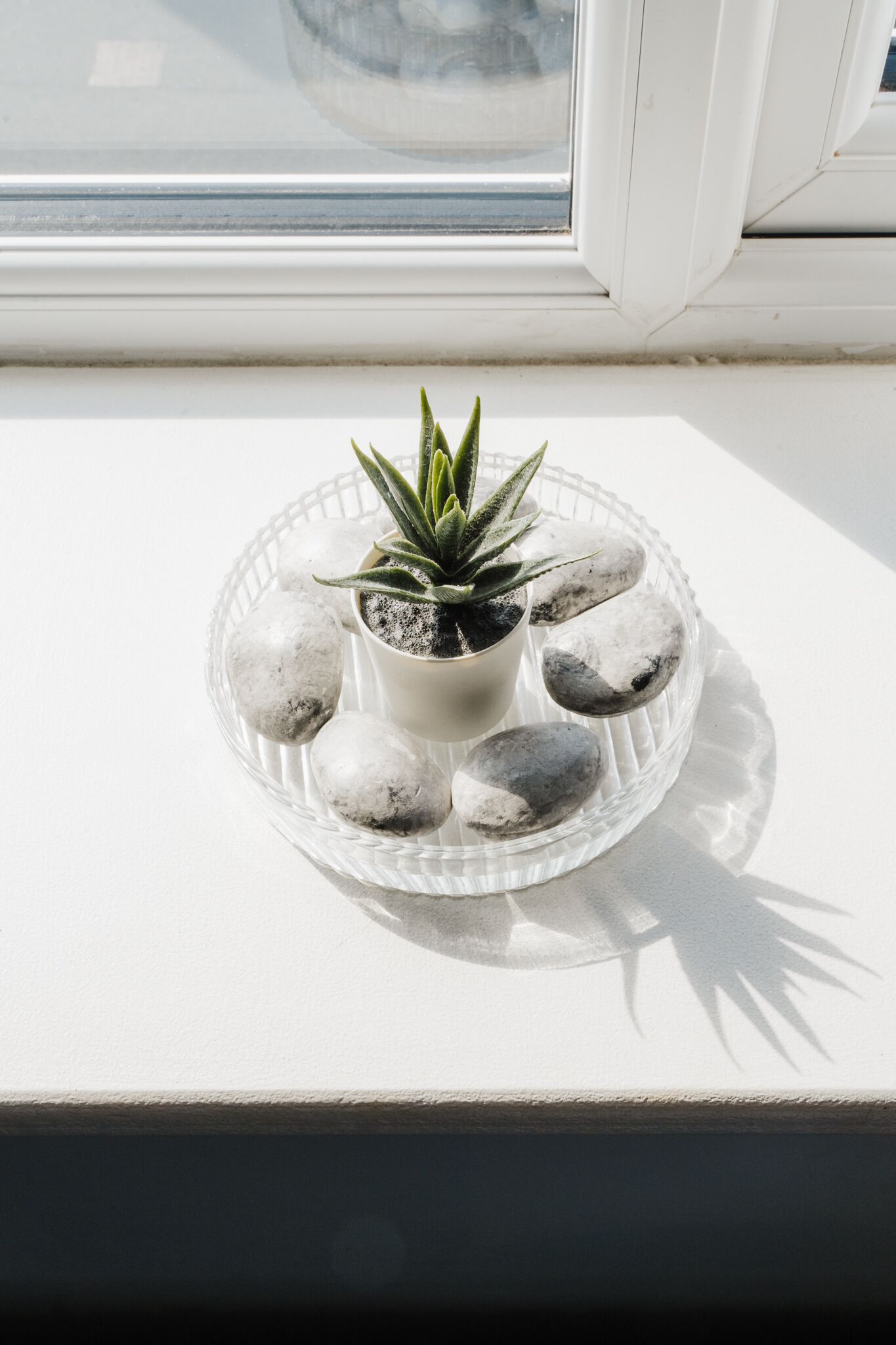 A potted plant on a glass tray with rocks on a windowsill.