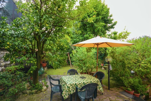A patio with a table and chairs, surrounded by lush greenery and a tree bearing fruit.