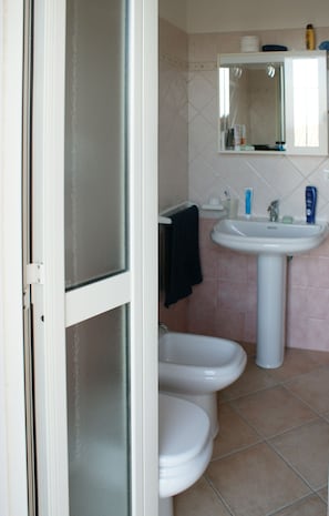 Douche, sèche-cheveux, bidet