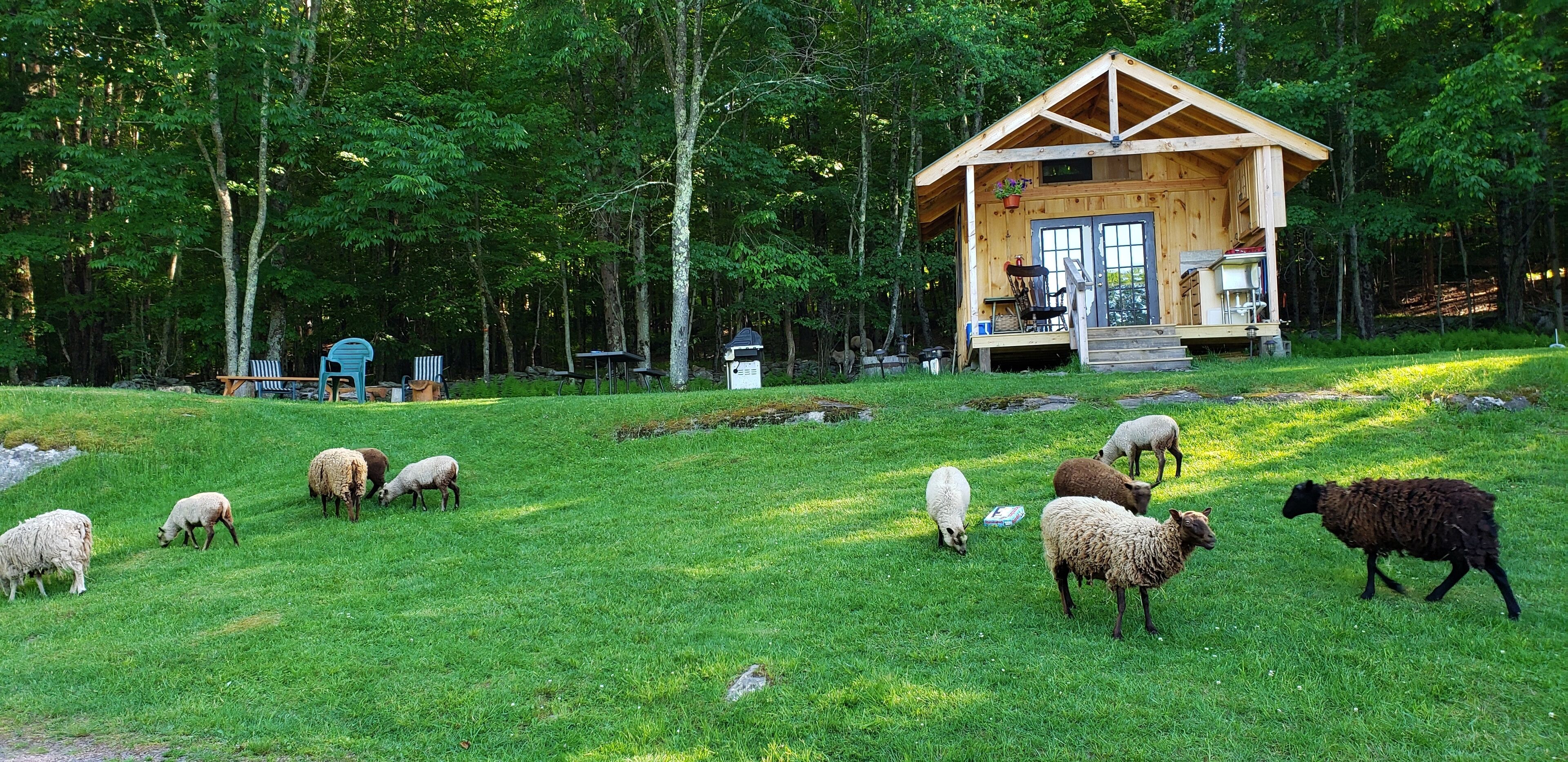 Cabin with Amazing Views of the Mountains