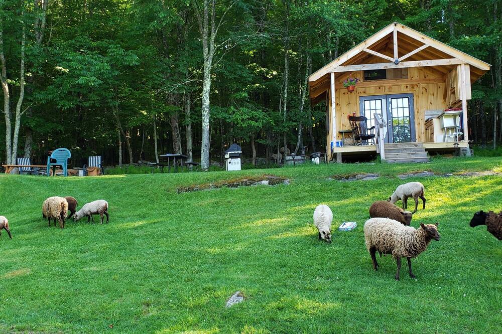Cabin with Amazing Views of the Mountains