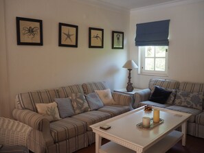 Een smart-tv, een open haard, videogames en een dvd-speler