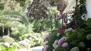 A garden pathway surrounded by various plants and flowers. - Villa with Books, Sun, Swing Bed, Private Pool And A Spacious Garden To Enjoy (Unknown)