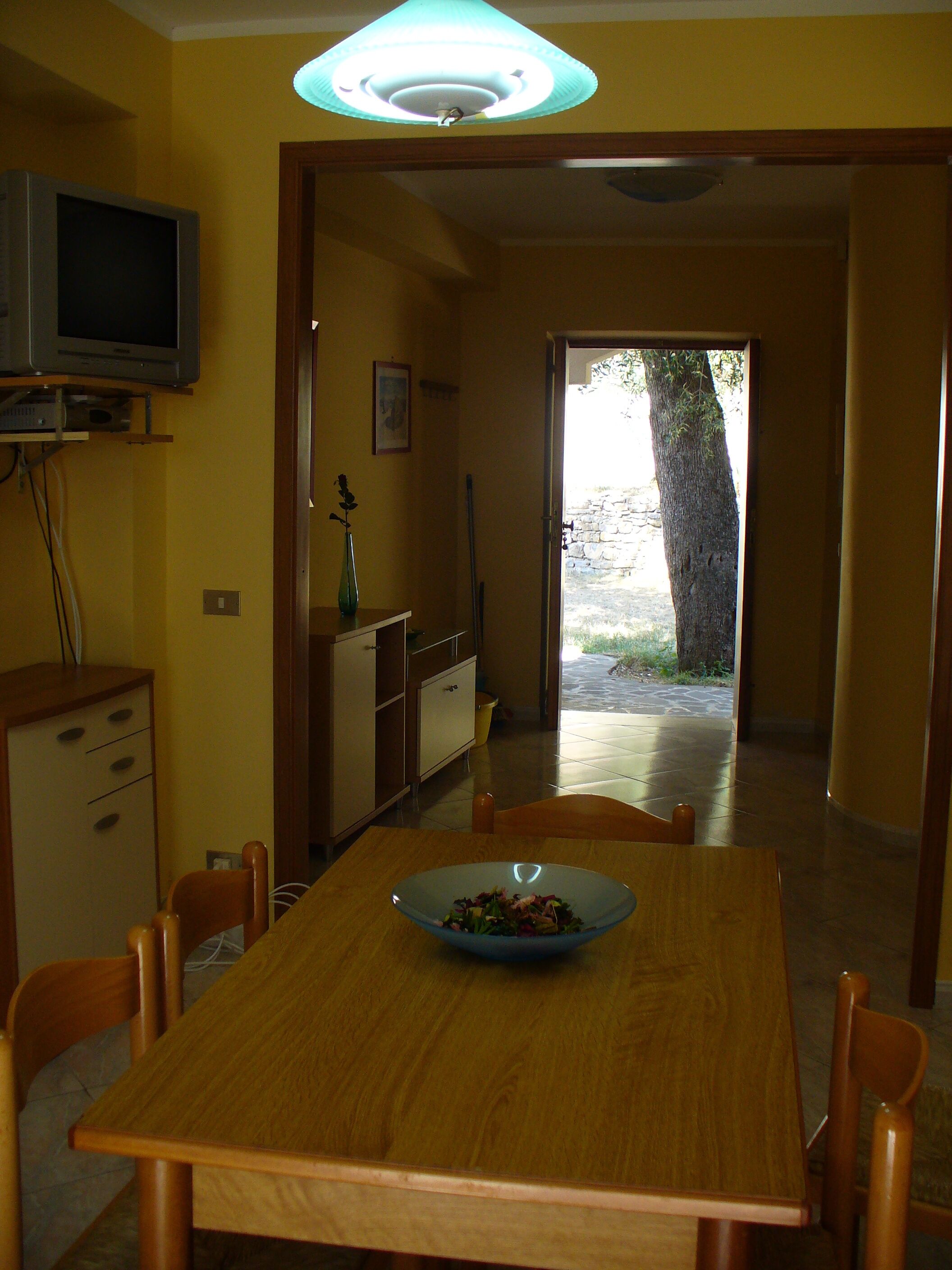 A dining area with a wooden table, chairs, a television on a shelf, and a view of a garden through an open door.