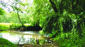 A serene riverside path with lush greenery and a calm water body. - Large bedroom above an artist's studio (Triguères)