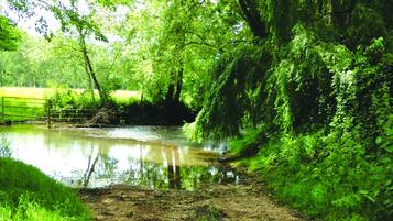 Terrein van de accommodatie