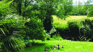 A lush green landscape with a pond, trees, and ducks. - Large bedroom above an artist's studio (Triguères)