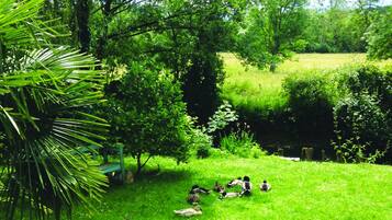 Terrein van de accommodatie