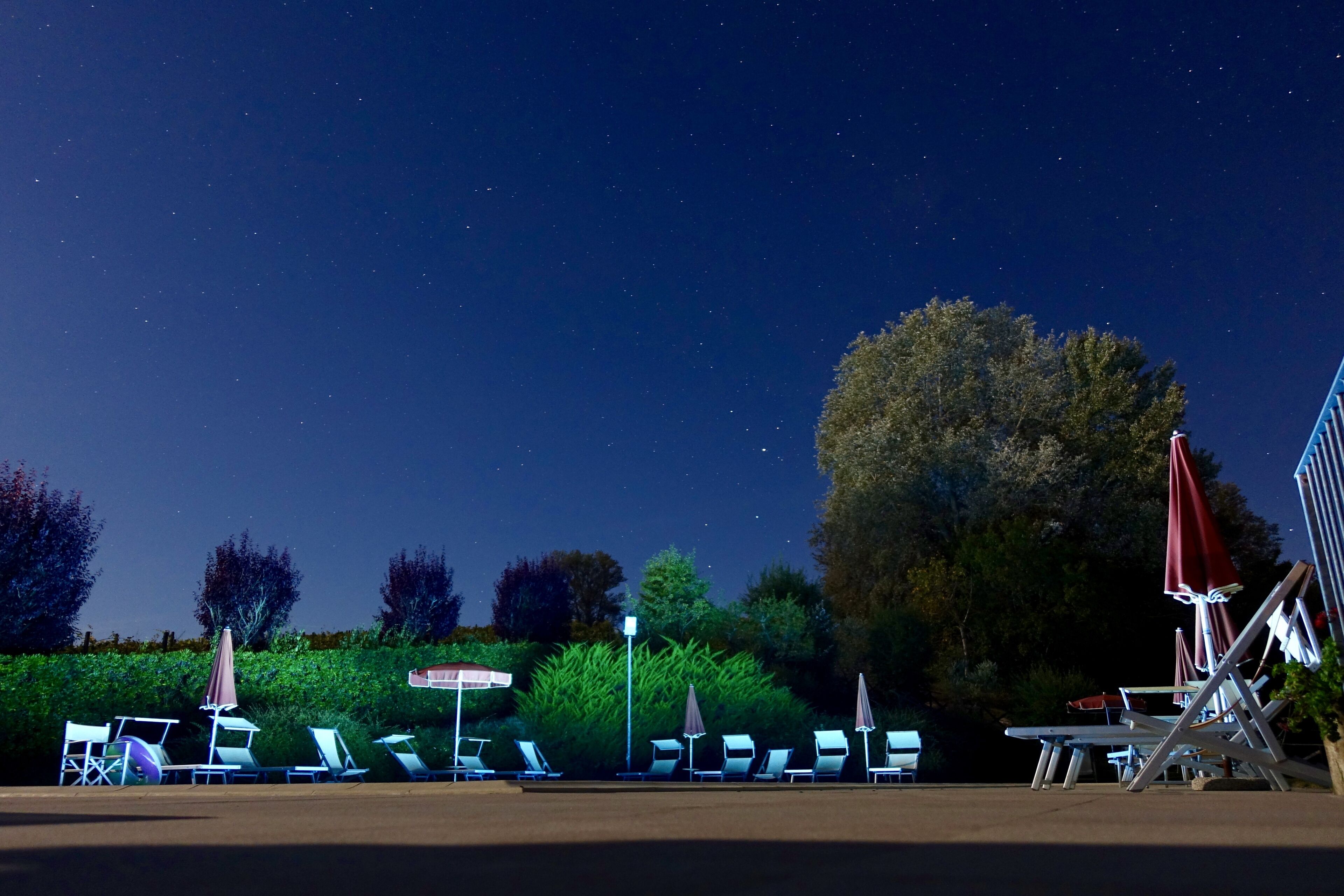 テラス / パティオ