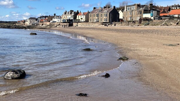 Une ville côtière dotée d’une plage de sable et bordée de bâtiments.