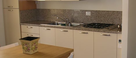 Fridge, microwave, stovetop, electric kettle