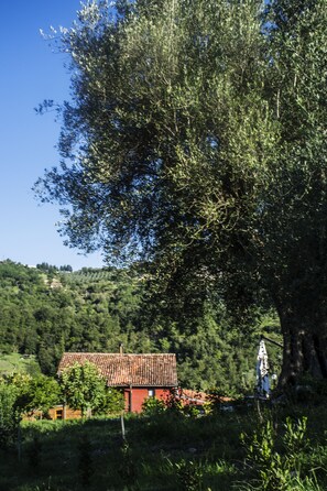 Terrain de l’hébergement 