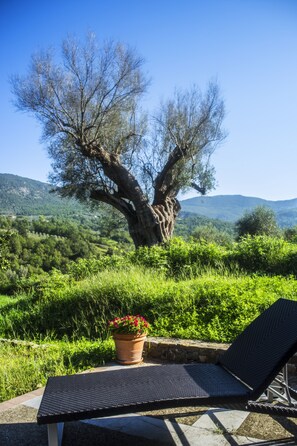 Silla de descanso con vista a un árbol y colinas.
