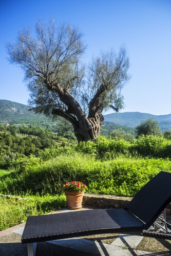 House immersed in the green of the Cilento Park