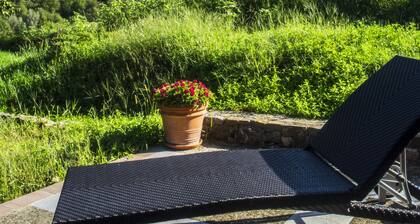 House immersed in the green of the Cilento Park