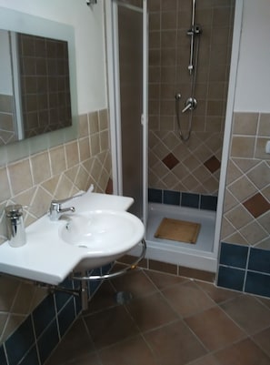 Shower, towels, toilet paper