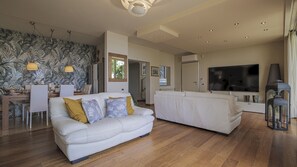 TV connectée, cheminée, chaîne hi-fi