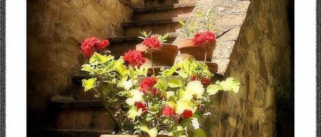 تفاصيل الفندق من الخارج