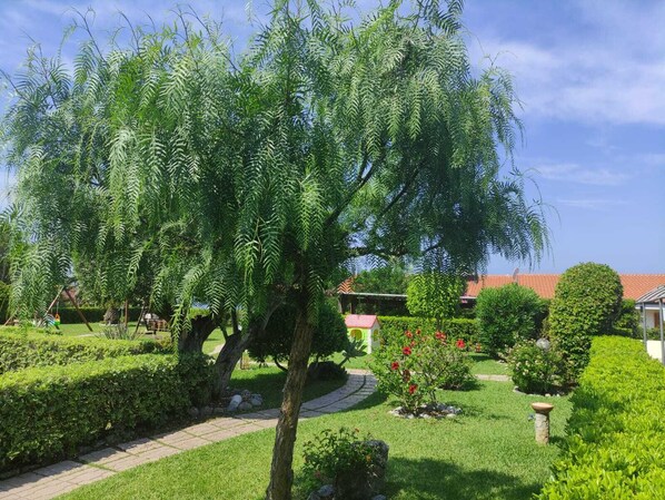 A well-maintained garden with a variety of trees and shrubs, a paved walkway, and a building with a red roof in the background.