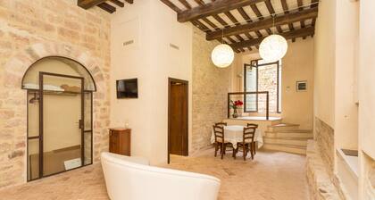 Assisi center studio