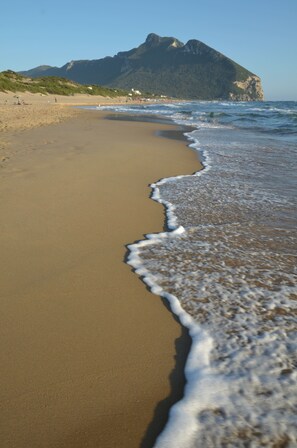 Plage à proximité