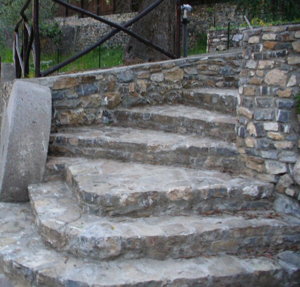 Property grounds - VILLA CECILIA/app. 3: relax and comfort just a stone's throw from the next beach (Pisciotta)