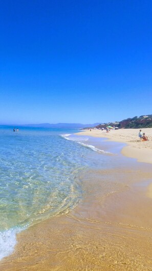 海滩
