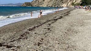Una playa pedregosa con gente tomando el sol y nadando, una ladera rocosa y un cielo azul despejado.